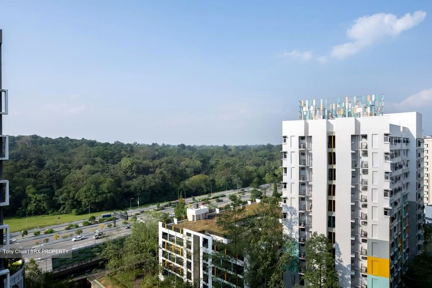Blossom Residences (D23), Condominium #610608031